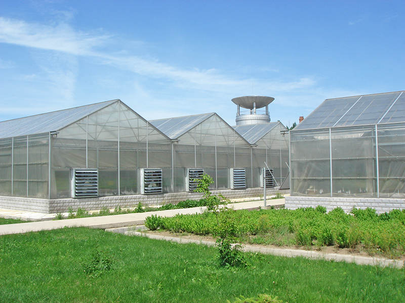 Dubbelcellig polykarbonat växthus tillämpning
